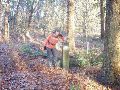 Bij grenspaal 383 maakt de grens een knik naar het Noordwesten.