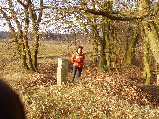 Op de andere kant van een weide Grenspaal 407. Vanaf hier loop de grens in noordwestelijke richting.