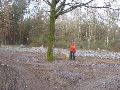 Grenspaal 377 staat op een hoek van de grens, hier slaan wij linksaf naar het zuidwesten.