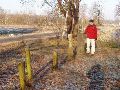 Grenspaal 413 staat tussen wat bomen en is aan wegwerkersgeweld ontsnapt.