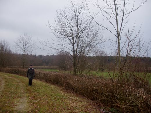 Teruggelopen langs de Biezendijk.