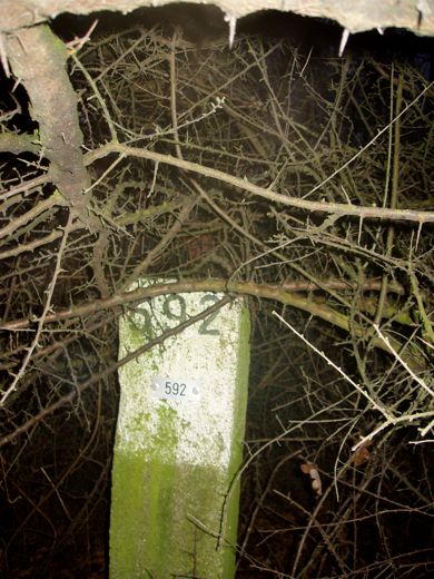 592 is de laatste paal langs de Limburgse grens met Duistland. Bert is net tussen de esdoorn te onderscheiden.