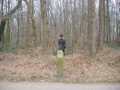 541 iets verder op.