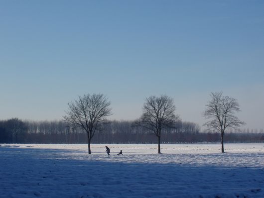 Een trekmoeder in de sneeuwvlakte.
