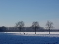 Een trekmoeder in de sneeuwvlakte.