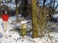 En 439.