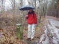 465. Weer verder langs een pad.