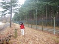 466 langs een afgezet stuk Reichswald.