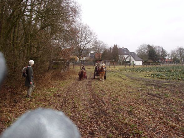 Ieder zijn eigen wagen.