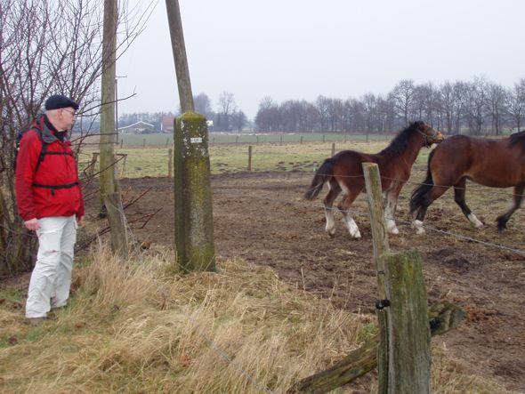 Om vervolgens te proberen  zijn moeder te bestijgen. PS grenspaal 526.
