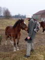 Probeert hier een hap uit Bert te nemen.
