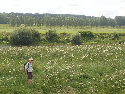 In de bloemetjes.