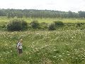 In de bloemetjes.